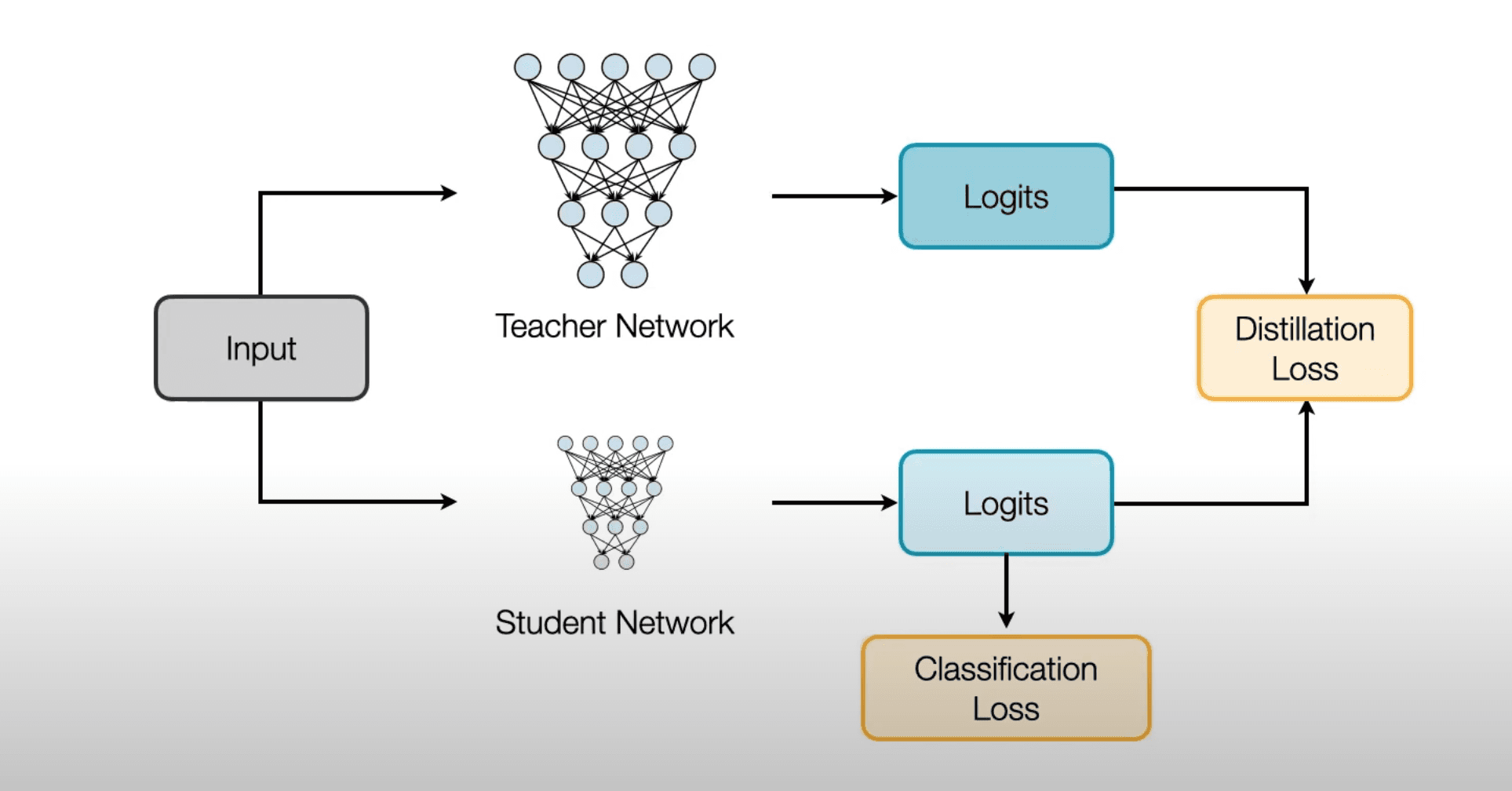 Knowledge Distillation Visualization